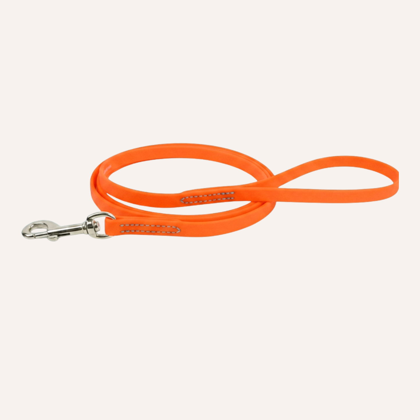 BioThane Snap Leash (6')