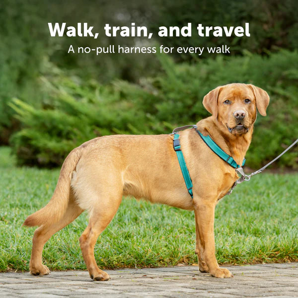 PetSafe Easy Walk® 3 in 1 Harness
