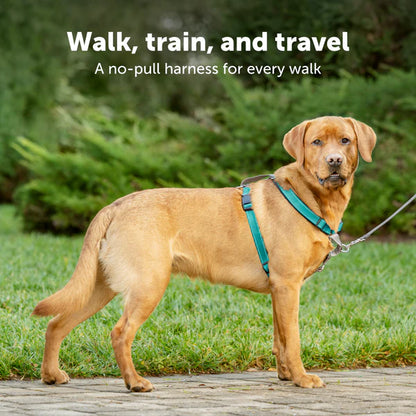 PetSafe Easy Walk® 3 in 1 Harness