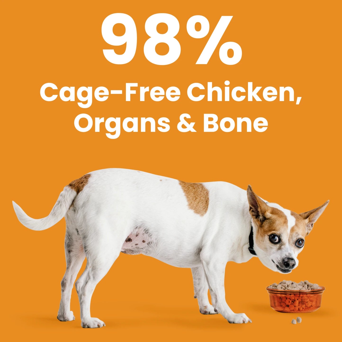 Bixbi Rawbble® Freeze-Dried Dog Food | Chicken Recipe