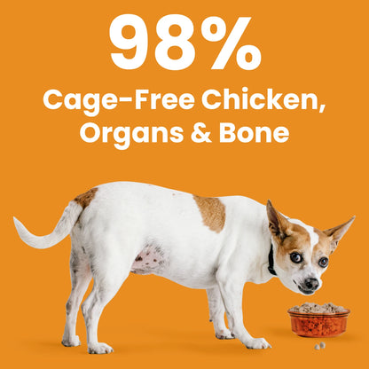 Bixbi Rawbble® Freeze-Dried Dog Food | Chicken Recipe