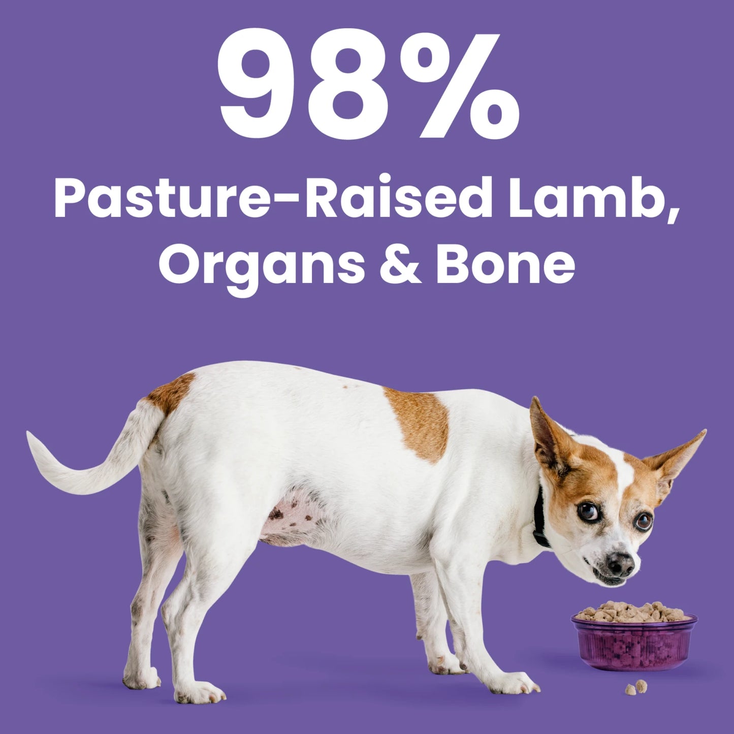 Bixbi Rawbble® Freeze-Dried Dog Food | Lamb Recipe