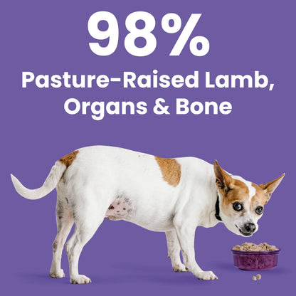 Bixbi Rawbble® Freeze-Dried Dog Food | Lamb Recipe