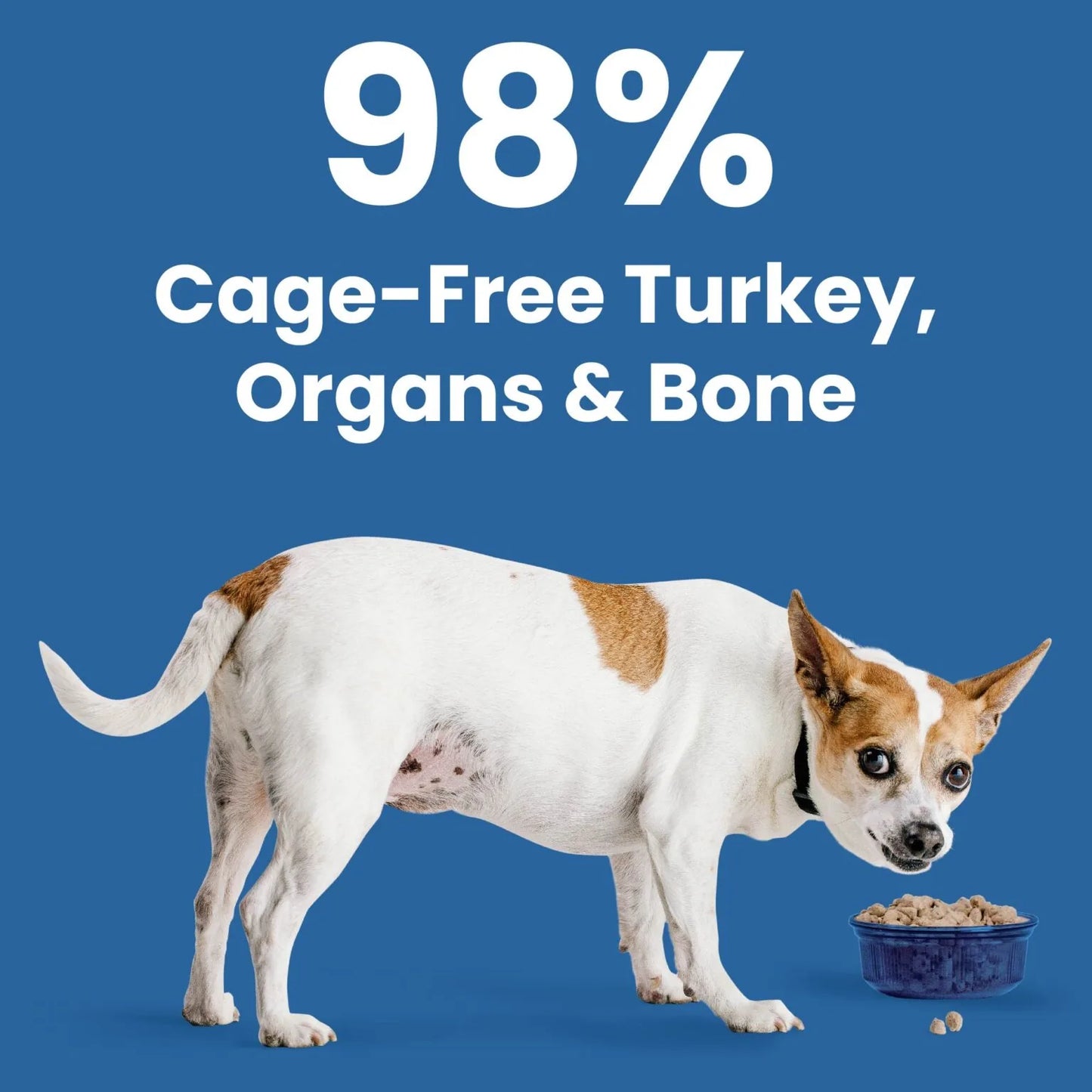 Bixbi Rawbble® Freeze-Dried Dog Food | Turkey Recipe