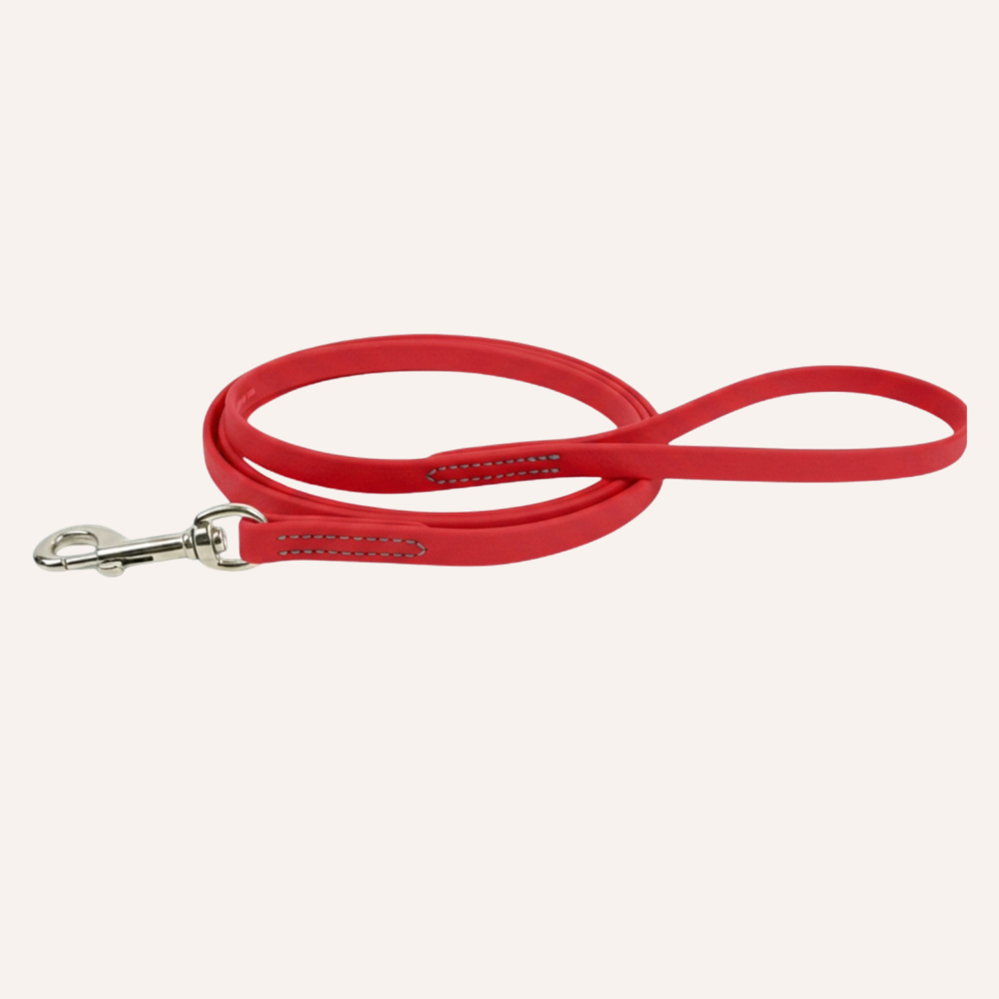 BioThane Snap Leash (6')