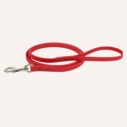 BioThane Snap Leash (6')