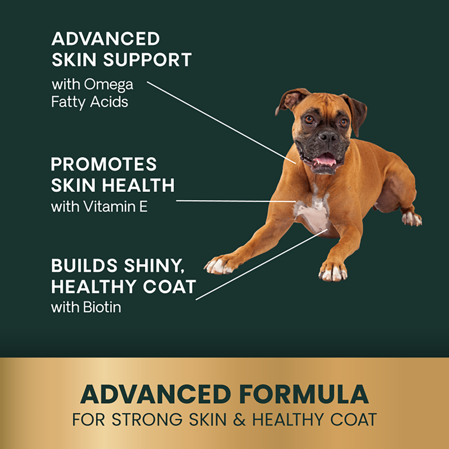 VetriScience Healthy Skin & Coat Chews