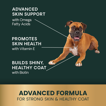 VetriScience Healthy Skin & Coat Chews