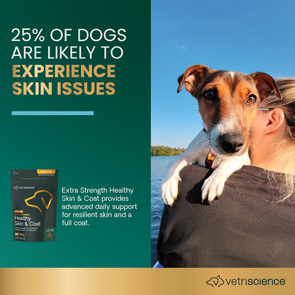 VetriScience Healthy Skin & Coat Chews