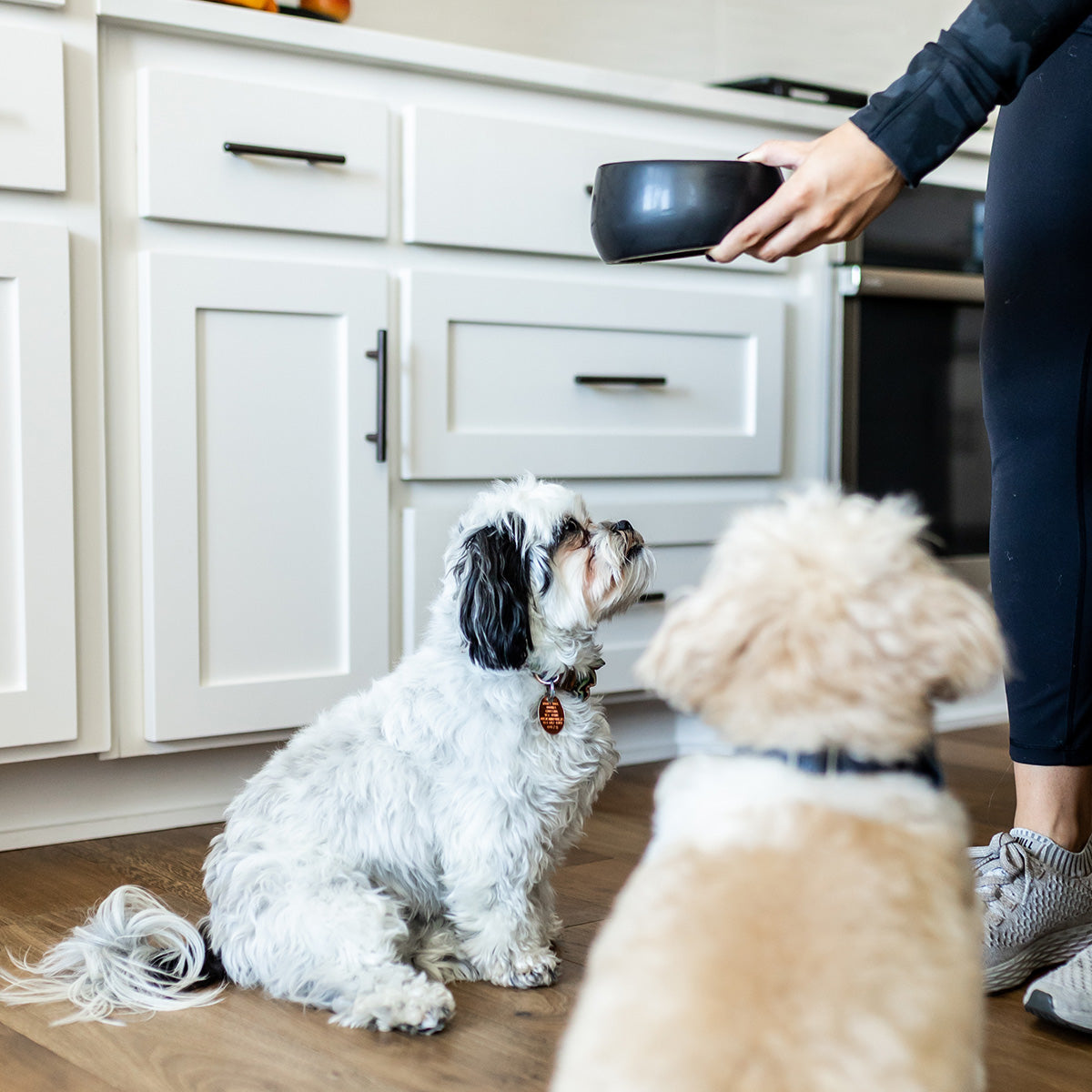 Ziwi Peak Lamb Air Dried Dog Food
