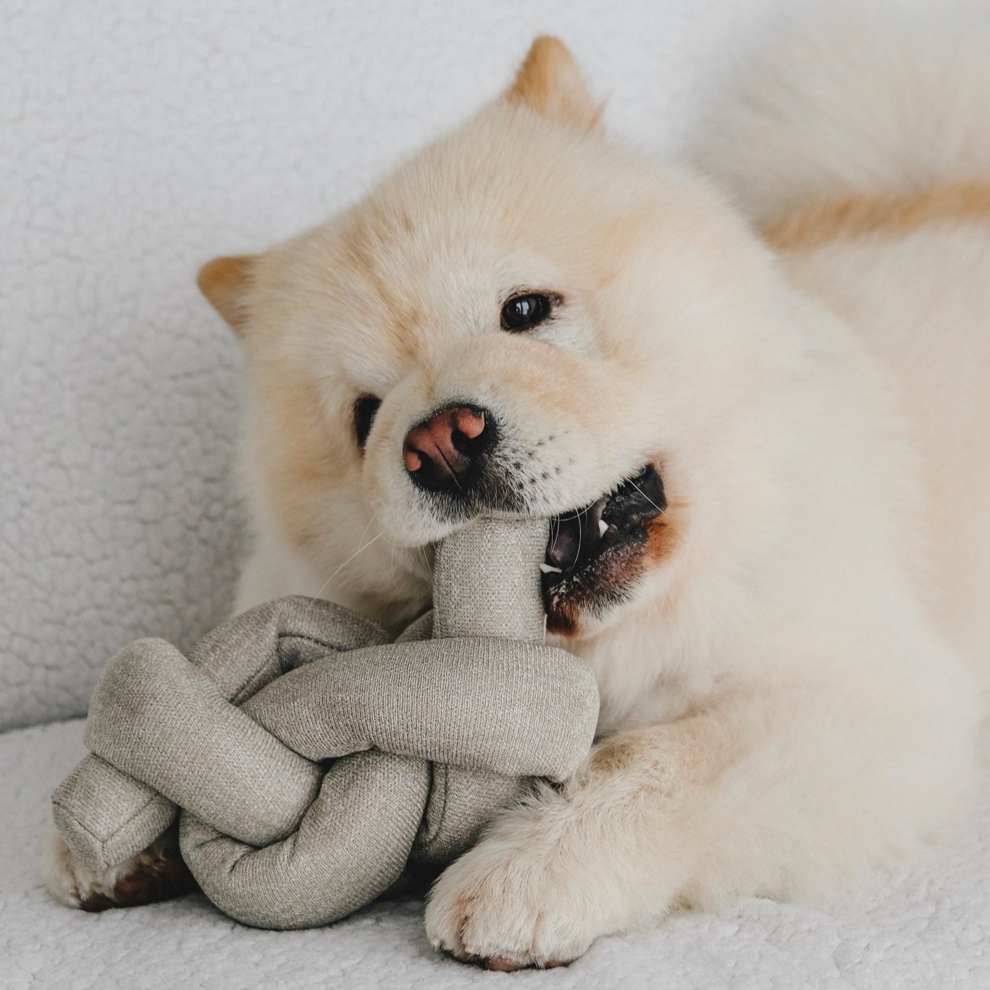 Lambwolf NOU Enrichment Toy | Crinkly + Nylon