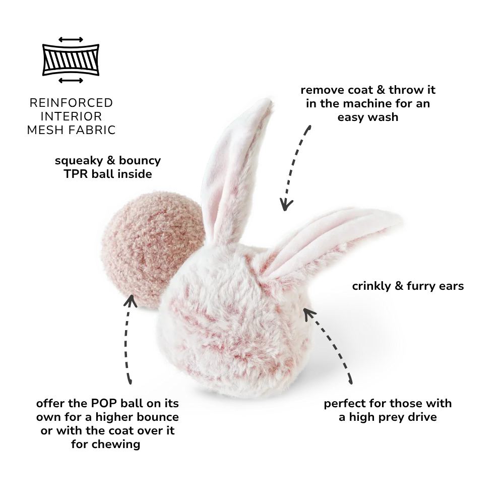 Lambwolf Bunny Pop | Bouncy Squeaky Toy