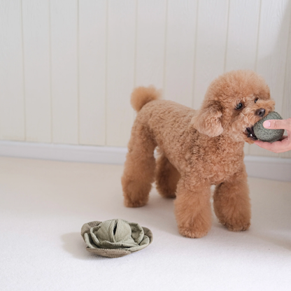 Lambwolf Cabbage Pop | Bouncy Snuffle Crinkle Toy