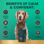 Long Lasting Calm & Confident Chews for Dogs