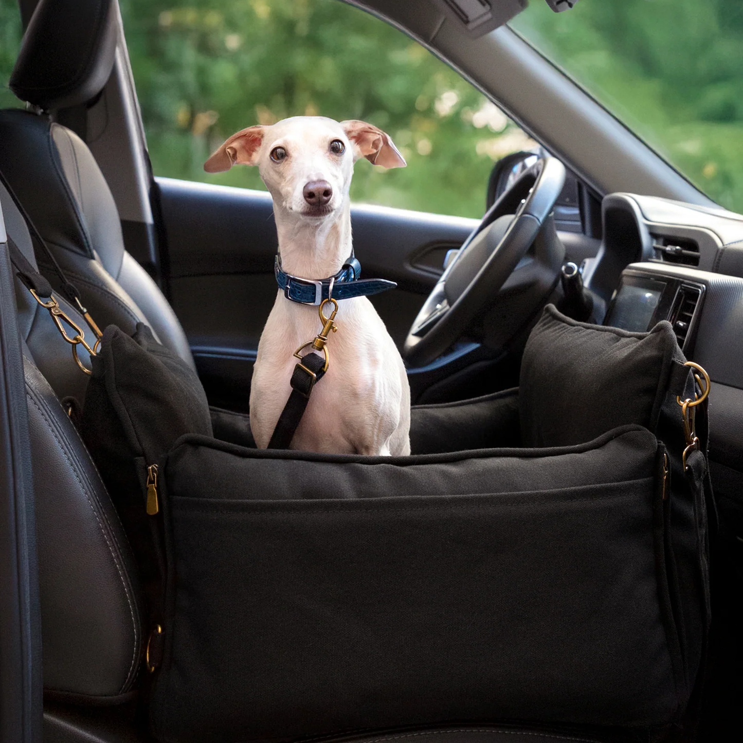 Noah & Paw Canvas Dog Car Seat