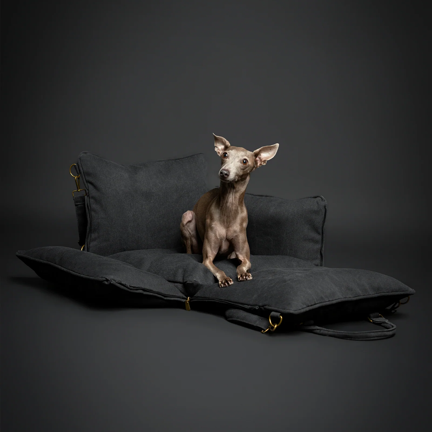 Noah & Paw Canvas Dog Car Seat