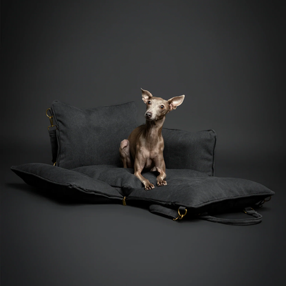 Noah & Paw Canvas Dog Car Seat