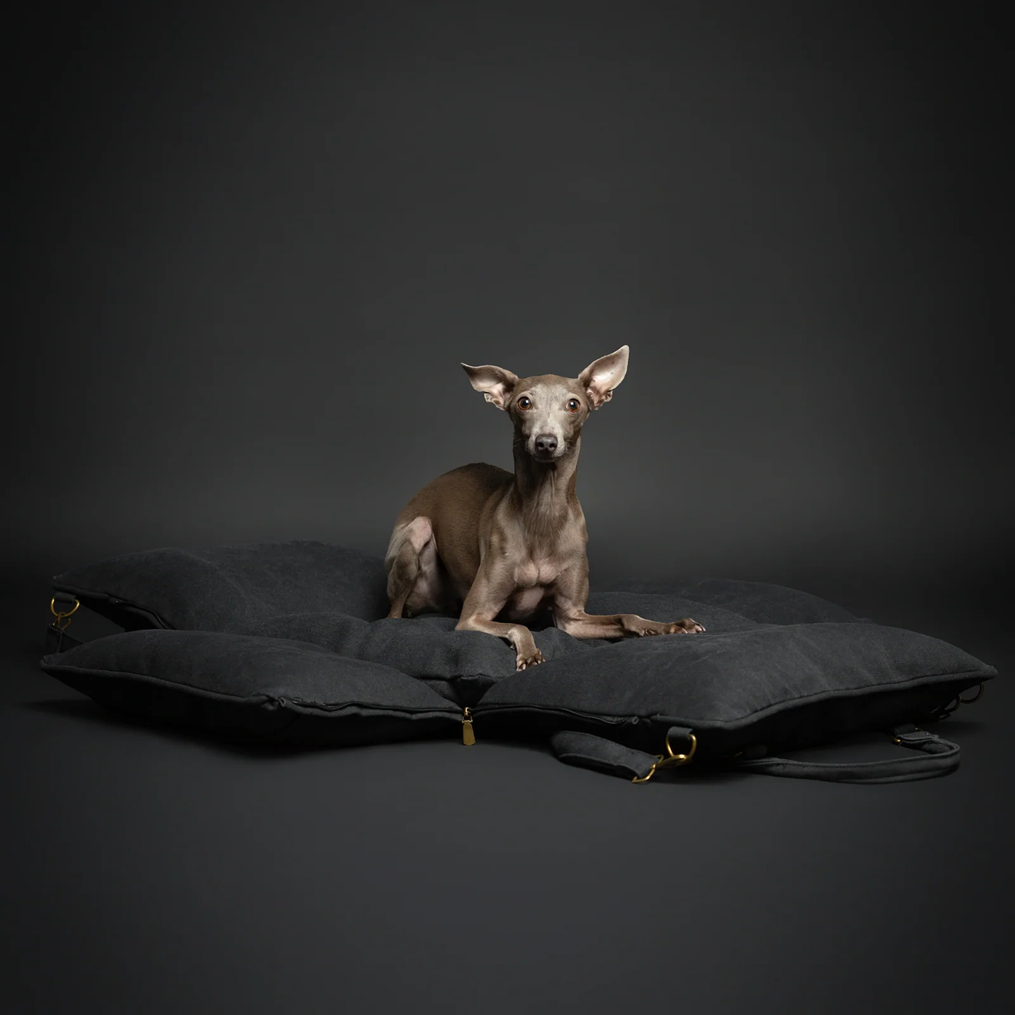 Noah & Paw Canvas Dog Car Seat