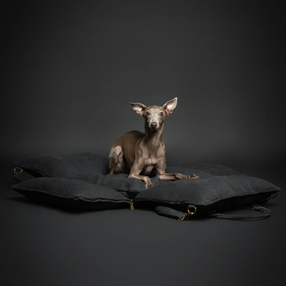 Noah & Paw Canvas Dog Car Seat