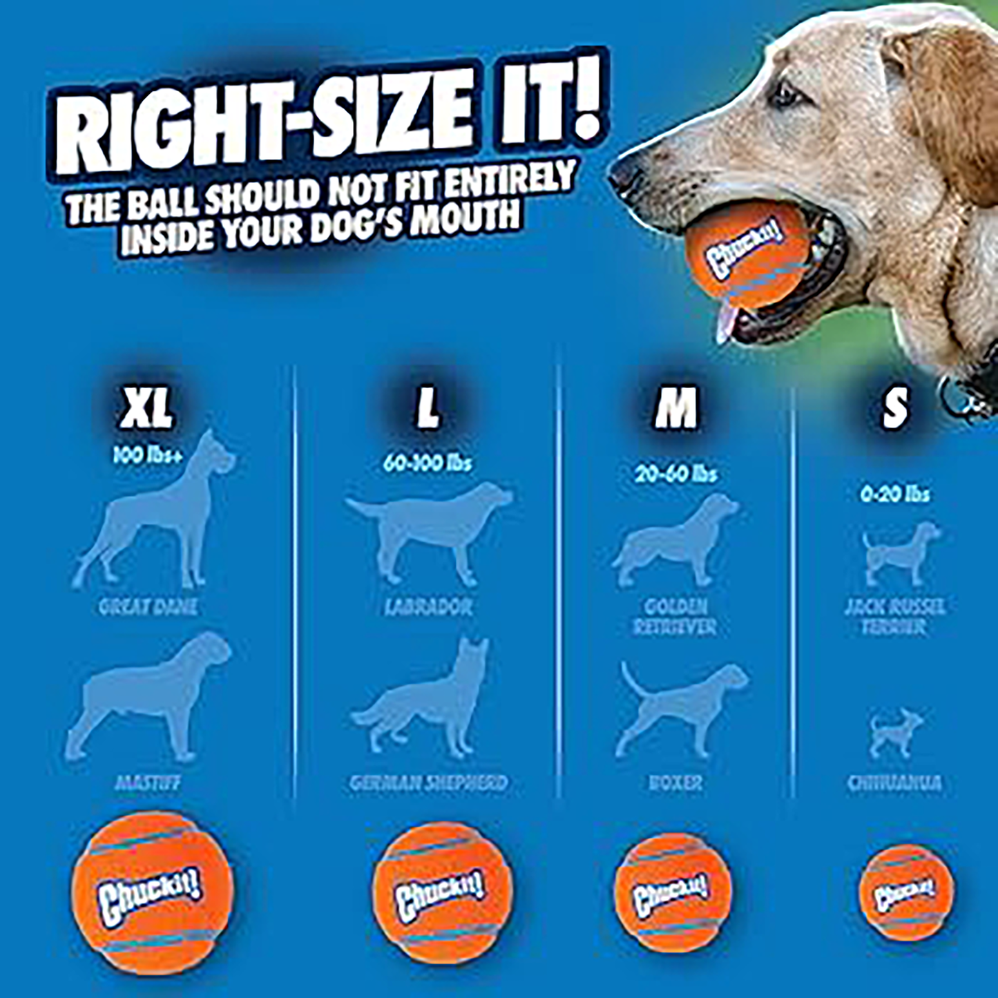 Chuckit! Medium Ball 2-Pack