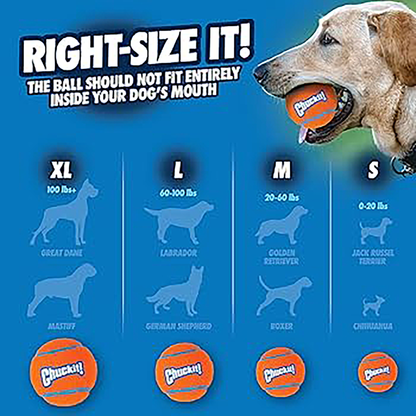 Chuckit! Medium Ball 2-Pack