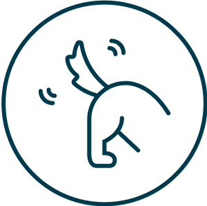 customer-satisfaction