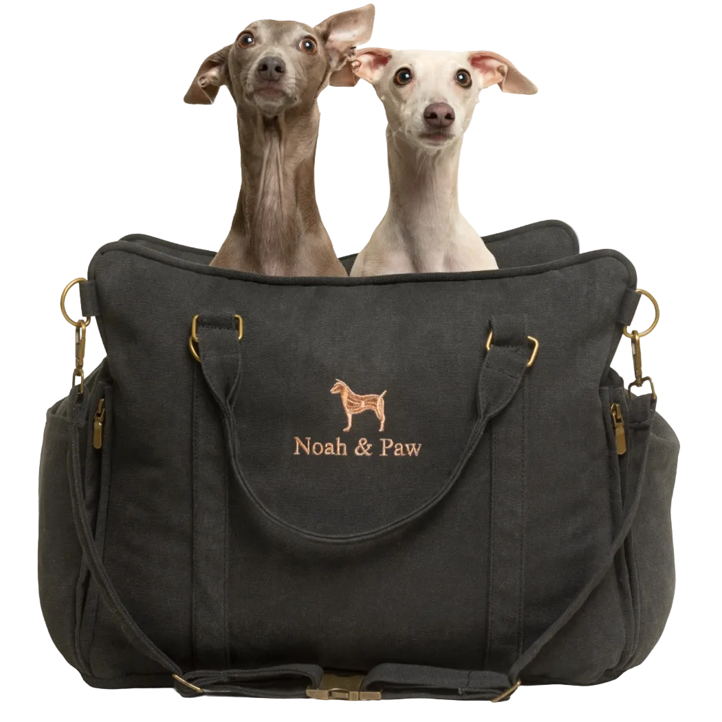 Noah & Paw Canvas Dog Car Seat