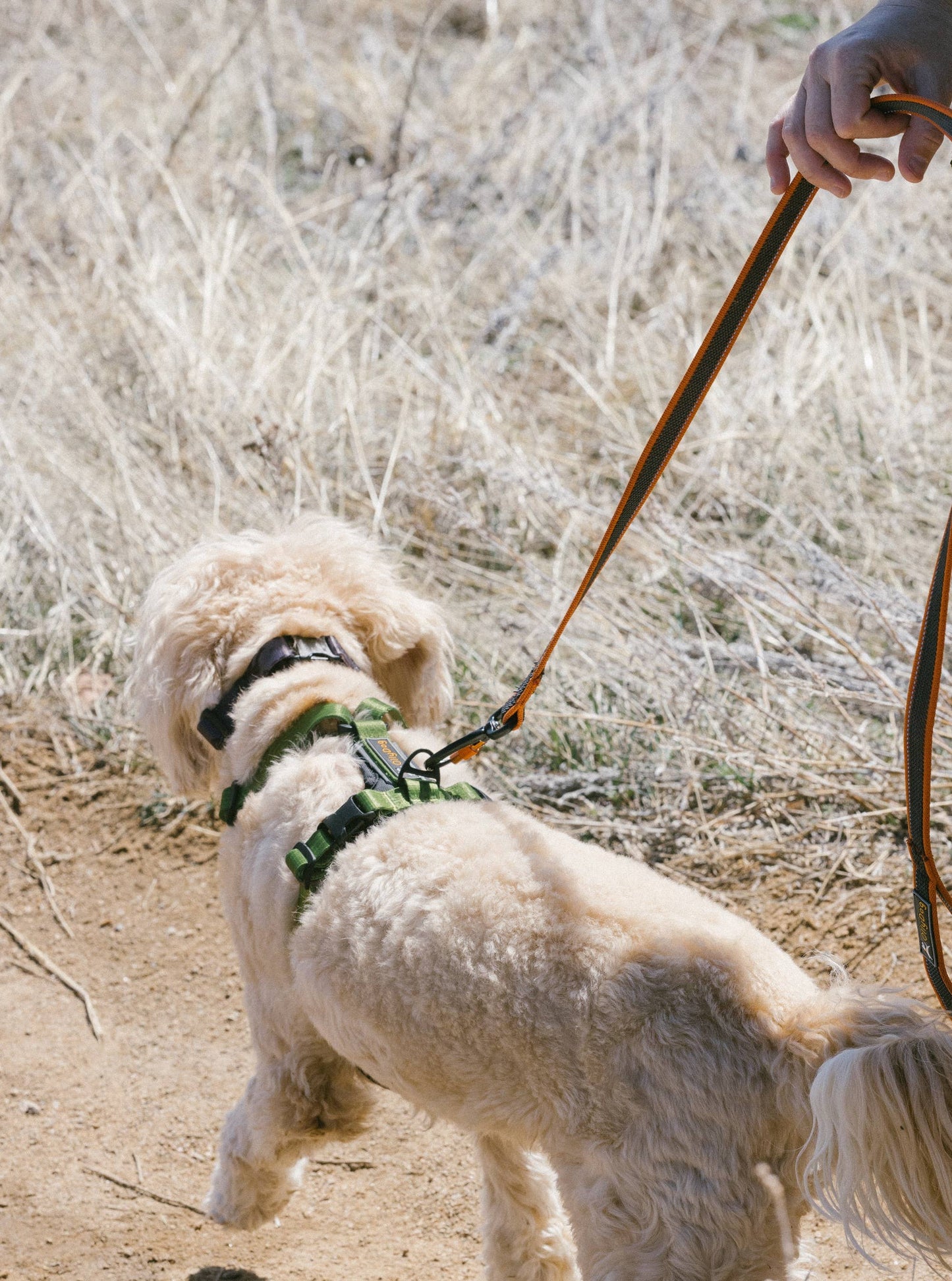 Rubber Grip Reflective Leash