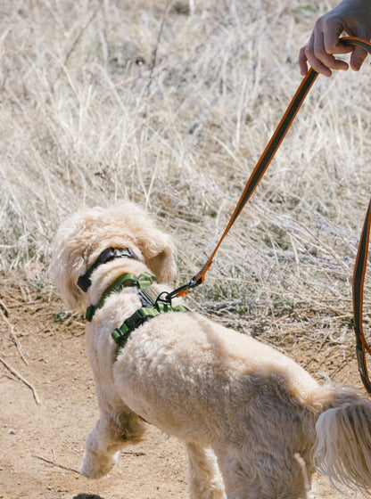 Rubber Grip Reflective Leash