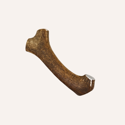 Jumbo