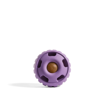 Lavendar