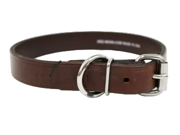 Bridle Leather Collar