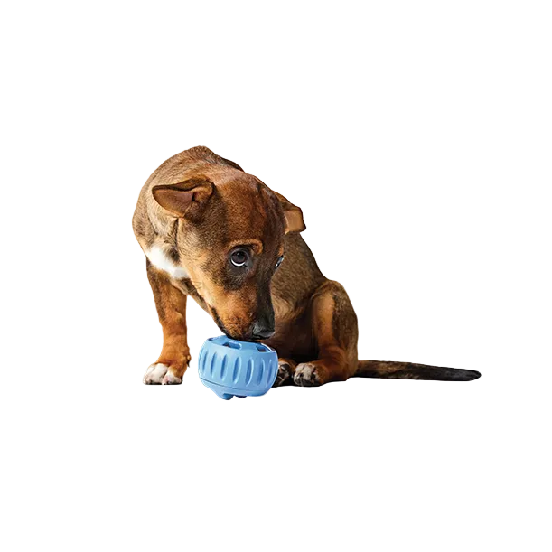 Pupsicle