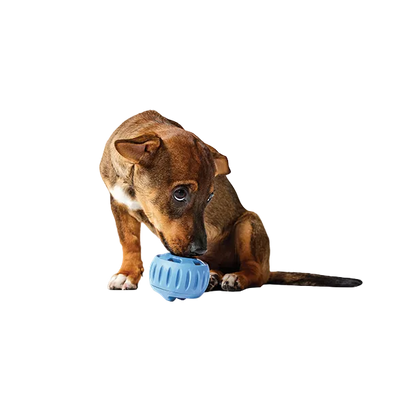 Pupsicle