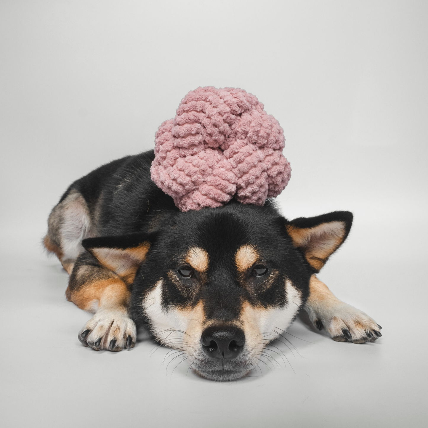 Lambwolf NOU Enrichment Toy | Squeaky + Corduroy
