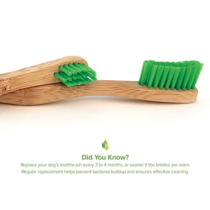 Pure and Natural Pet® Bamboo Toothbrush